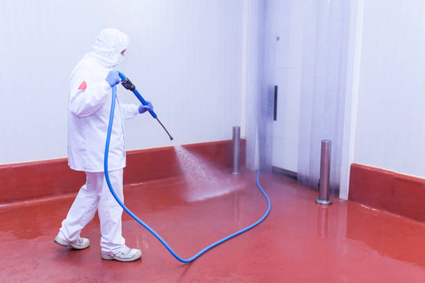 Best Factory Floor Cleaning  in Elkins, AR