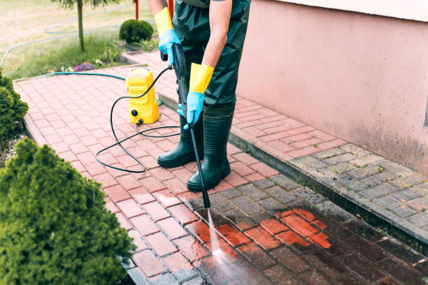 Best Spring Cleaning  in Elkins, AR